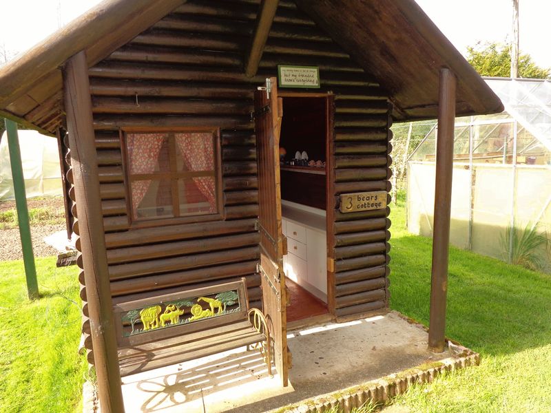 Photo 21